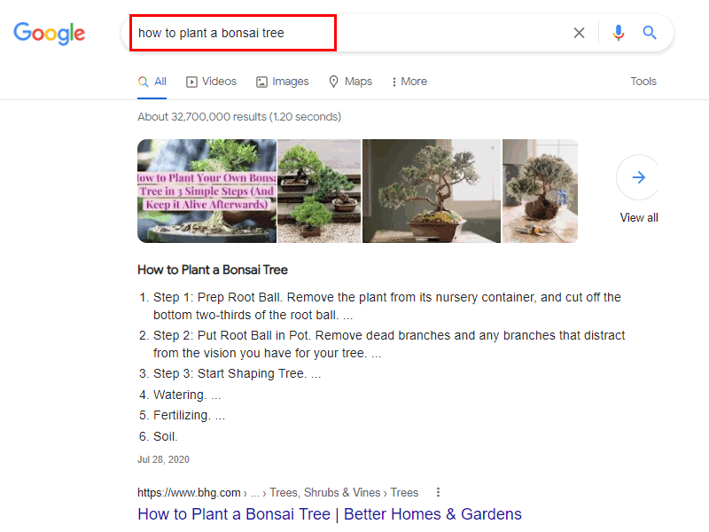 example of a keyword on google search