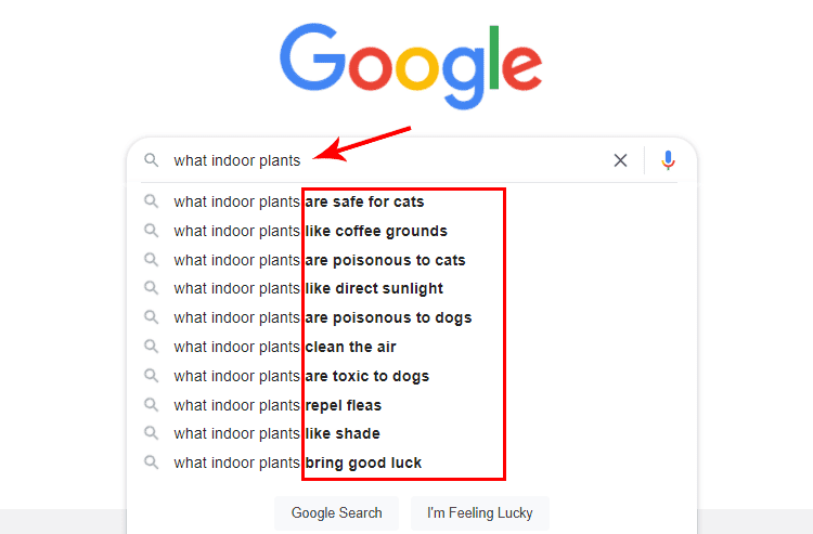 google suggestions example what indoor plant